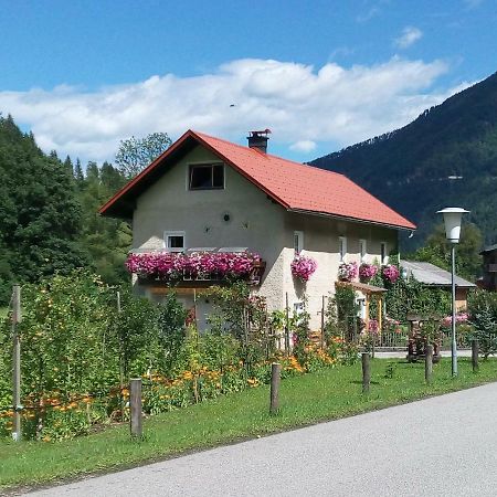 Appartment Haring Hollenstein an der Ybbs Екстер'єр фото
