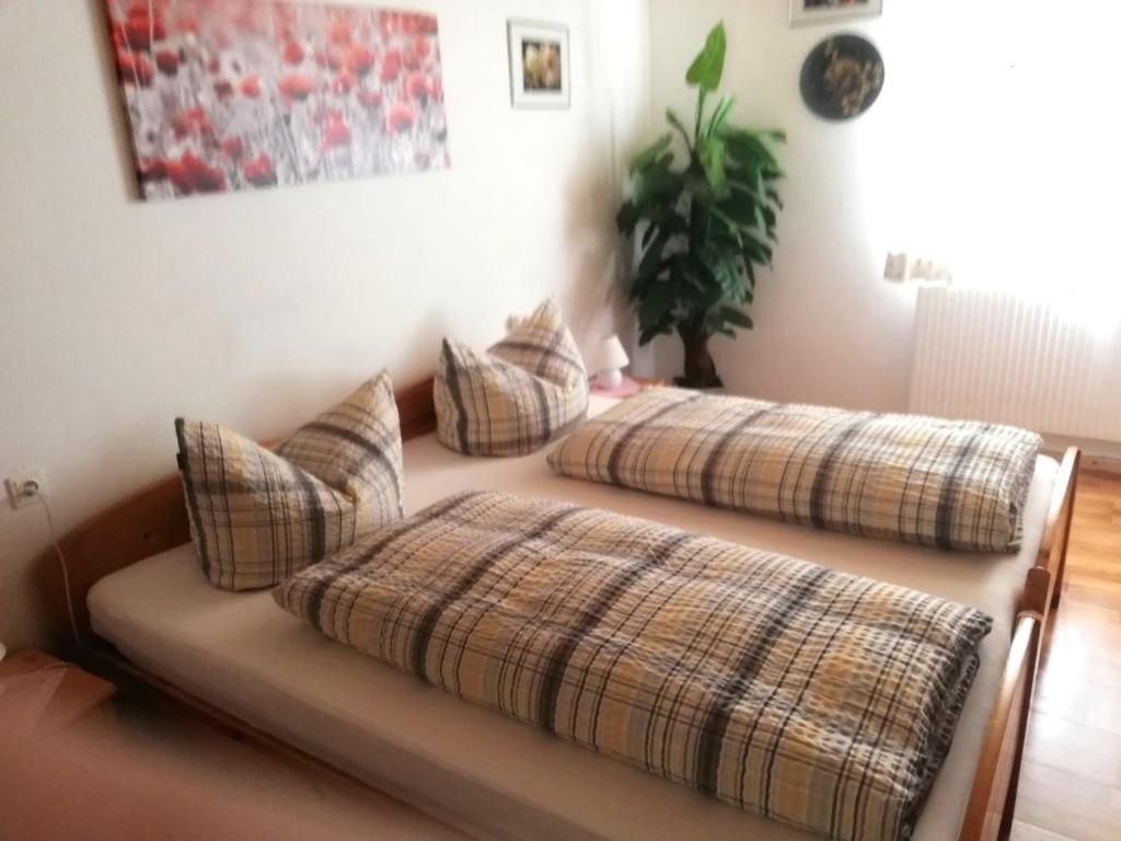 Appartment Haring Hollenstein an der Ybbs Екстер'єр фото